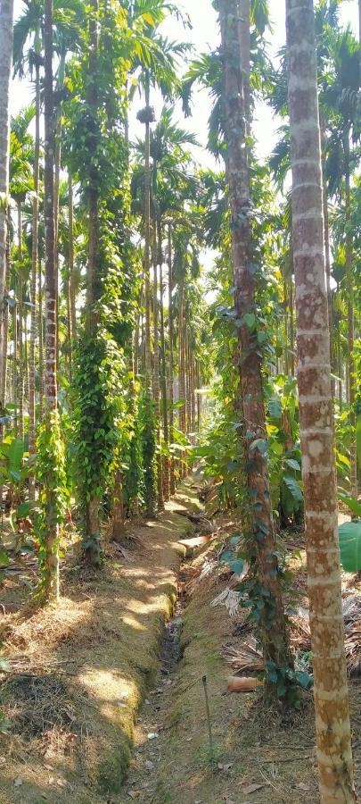 Magod Homestay Idgundi 外观 照片